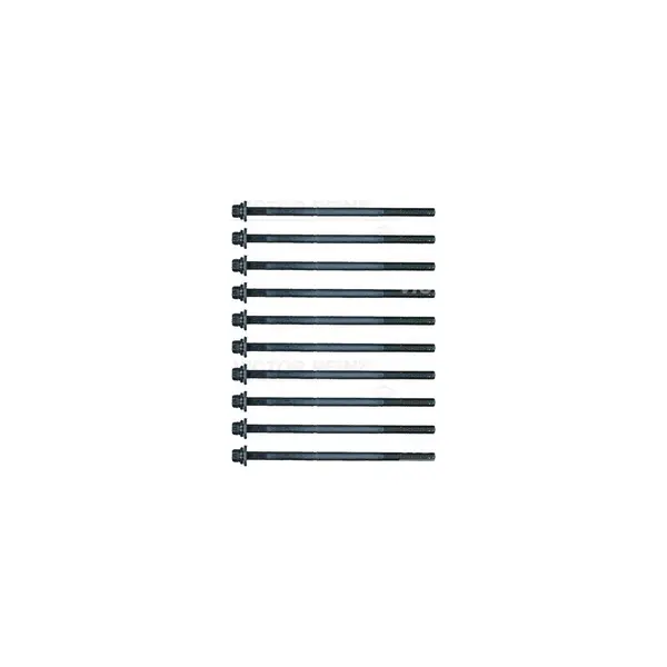 Set surub, chiulasa VICTOR REINZ 14-32105-01