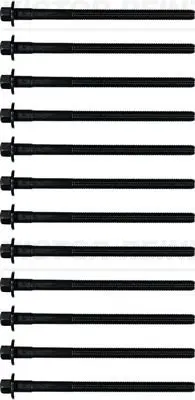 Set surub, chiulasa VICTOR REINZ 14-32305-01