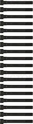 Set surub, chiulasa VICTOR REINZ 14-55015-01