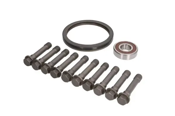 Set surub volanta potrivit MAN E2000, F90, FOC, HOCL, LION S CITY, LION S CLASSIC, LION S REGIO, LION S STAR, NG, NL, SL II, SU, TGA, TGS I, TGX I; NEOPLAN CENTROLINER 08.86-