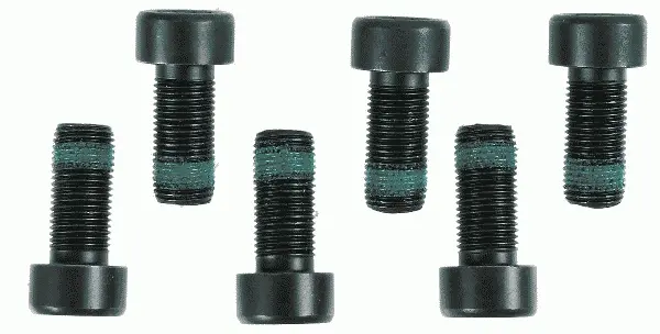 Set suruburi ambreiaj, cantitate per impachetare 6buc (M10x1x22mm) potrivit MAN TGE; AUDI A1, A6 ALLROAD C8, Q2, Q3; SEAT ARONA, IBIZA V, TARRACO; SKODA KAMIQ, KAROQ, KODIAQ I 1.0-2.0DH 03.05-