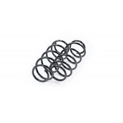 Set suspensie, arcuri elicoidale FEBEST 1808-013F-KIT