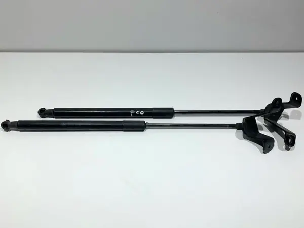 Set telescoape capota spate 7239871 BMW Seria 1 facelift (2015-2019) [F20]