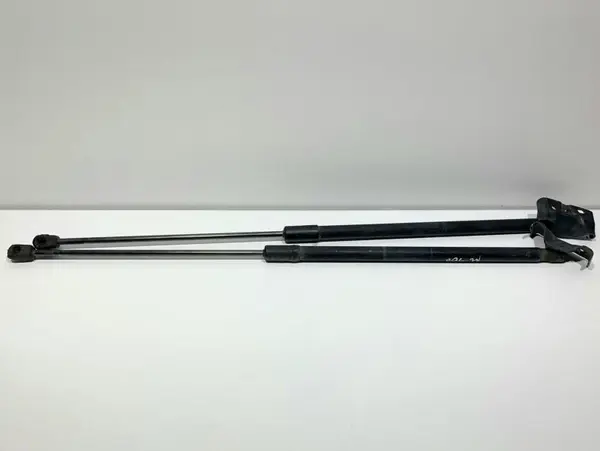 Set telescoape capota spate 904510002R Renault Megane 3 (2008-2012)