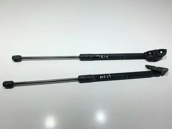 Set telescoape haion 844300009R Renault Megane 3 (2008-2012)
