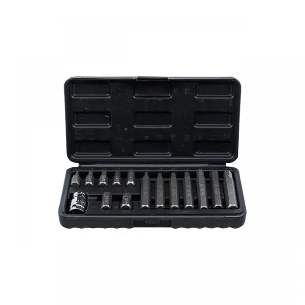Set varfuri imbus, 15 piese, BGS