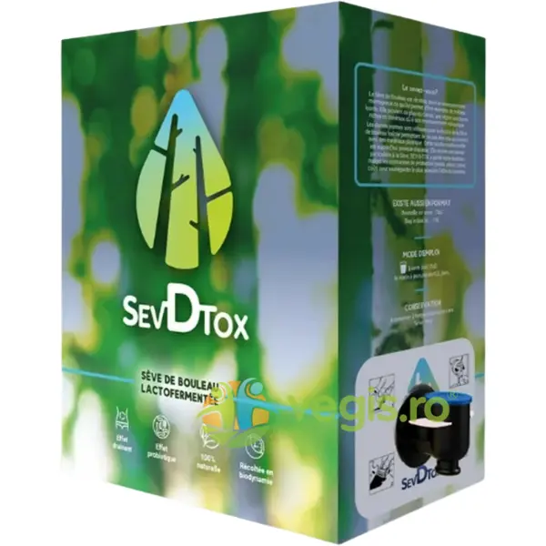 Seva de Mesteacan Lactofermentata Ecologica/Bio 3L