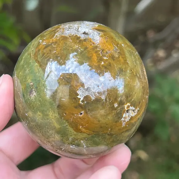 Sfera jasp ocean model 11