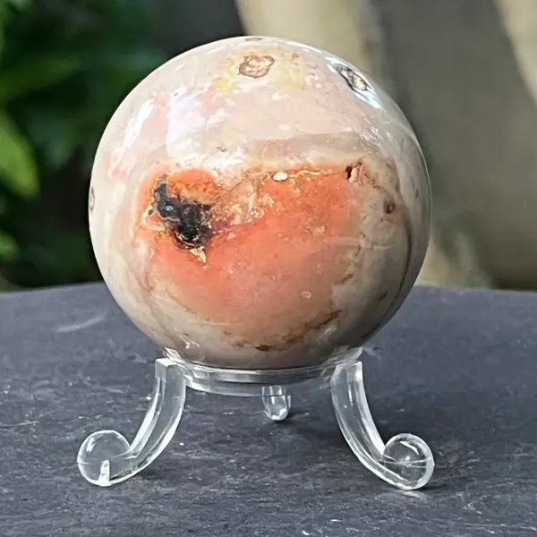 Sfera jasp ocean model 6