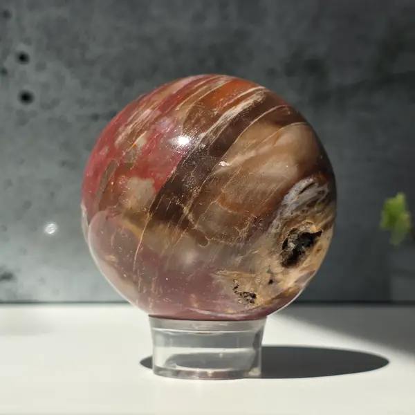 Sfera lemn pietrificat | Model 4