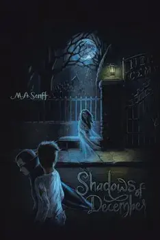 Shadows of December: Illusions of Time, Paperback/M a Senft