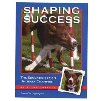 Shaping Success, Paperback/Susan Garrett