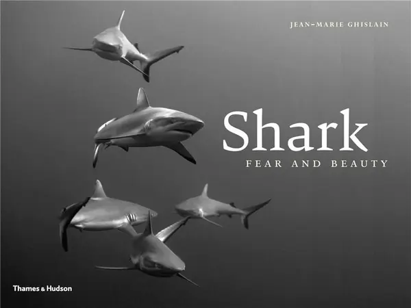 Shark: Fear and Beauty | Jean-Marie Ghislain