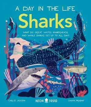 Sharks (a Day in the Life): What Do Great Whites, Hammerheads, and Whale Sharks Get Up to All Day?, Hardcover/Carlee Jackson