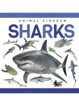 Sharks, Paperback/Alex Hall