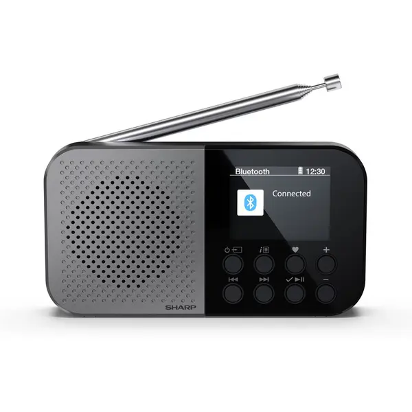 Sharp Radio digital portabil Sharp OSAKA DR-P520, suporta DAB, DAB+ si FM cu functie RDS, USB-C, Bluetooth 5.3, Gri