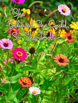 She Believed She Could, So She Did, Hardback/June Bug Journals