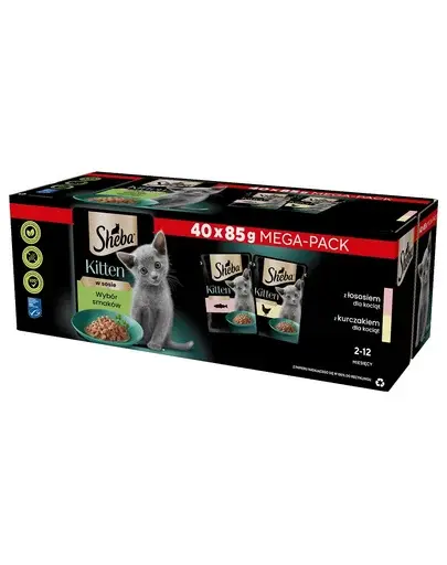 SHEBA Kitten Hrana umeda pentru pisoi 40x85 g cu somon si pui in sos