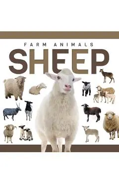 Sheep - Eliza Nodes
