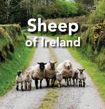 Sheep of Ireland, Hardback/Sarah OConnor