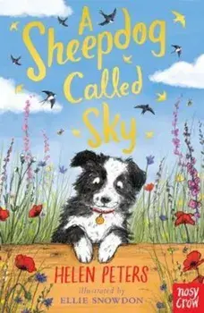 Sheepdog Called Sky, Paperback/Helen Peters