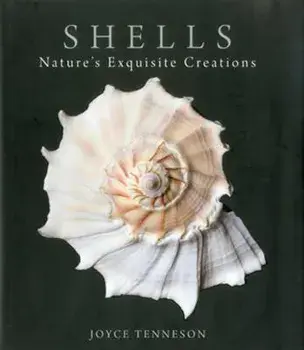 Shells: Nature's Exquisite Creations, Hardcover/Joyce Tenneson
