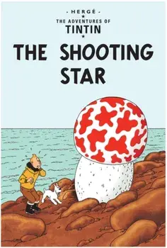 Shooting Star, Paperback/***
