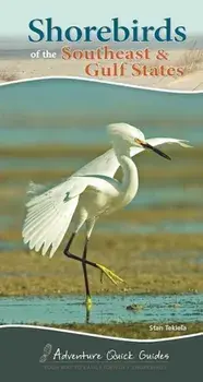 Shorebirds of the Southeast & Gulf States, Paperback/Stan Tekiela