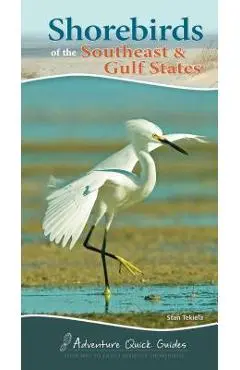 Shorebirds of the Southeast & Gulf States: Your Way to Easily Identify Shorebirds - Stan Tekiela