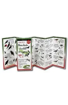 Sibley's Waterbirds of Sanibel & Captiva - David Sibley