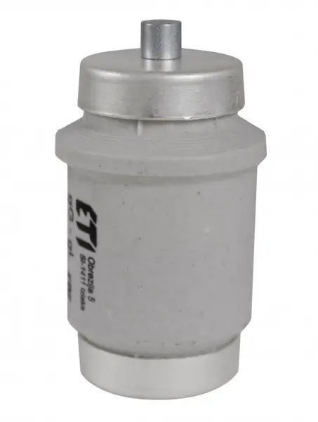 siguranta div gg 80a/500v 002314401