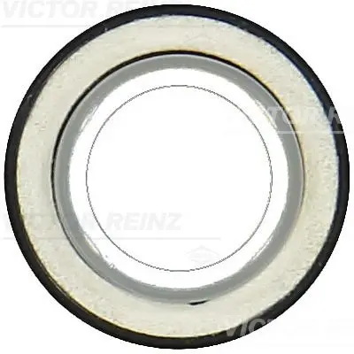 Simering, arbore cotit VICTOR REINZ 81-10559-00