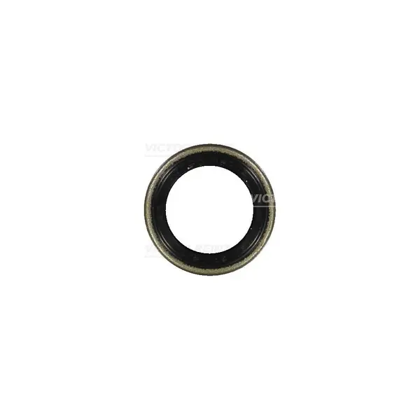 Simering, arbore cotit VICTOR REINZ 81-24010-00