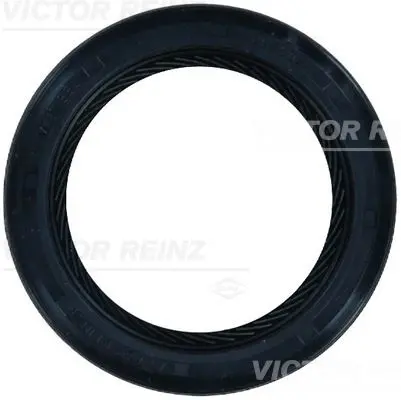 Simering, ax cu came VICTOR REINZ 81-26244-10