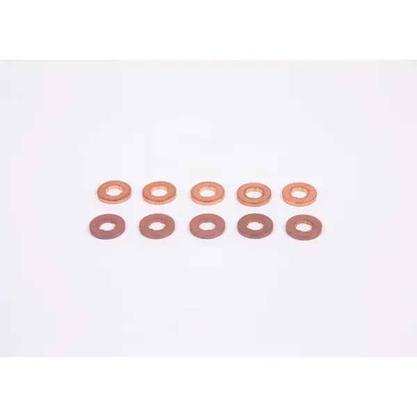 Simering, suport diuza BOSCH F 00V C17 504