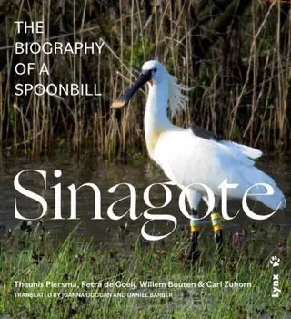 Sinagote, the biography of a spoonbill, Paperback/Carl Zuhorn