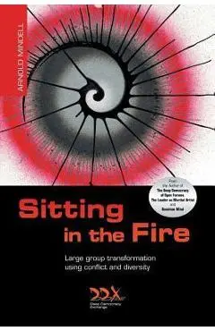 Sitting in the Fire: Large Group Transformation Using Conflict and Diversity - Arnold Mindell