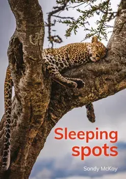 Sleeping spots, Paperback/Sandy McKay