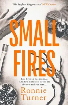 Small Fires. This year's most unsettling, hypnotic contemporary gothic thriller, Paperback/Ronnie Turner