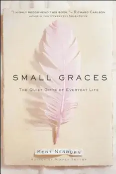 Small Graces: A Celebration of the Ordinary: Sacred Moments That Illuminate Our Lives, Hardcover/Kent Nerburn
