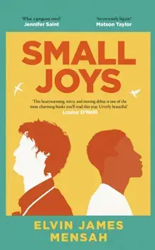 Small Joys. A Buzzfeed 'Amazing New Book You Need to Read ASAP', Hardback/***