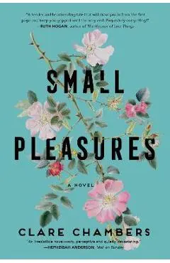 Small Pleasures - Clare Chambers