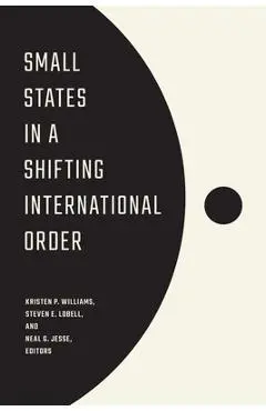Small States in a Shifting International Order - Kristen P. Williams