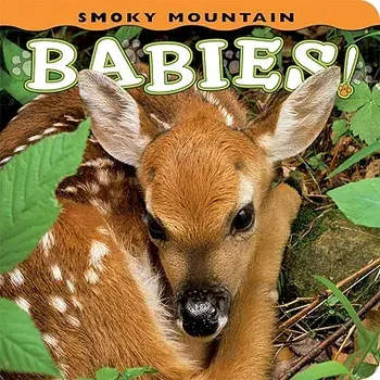 Smoky Mountain Babies!, Board book/Ann Simpson