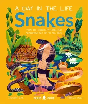 Snakes (A Day in the Life). What Do Cobras, Pythons, and Anacondas Get Up to All Day?, Hardback/Neon Squid