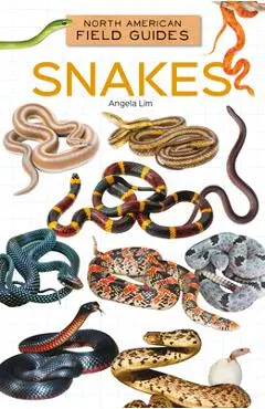 Snakes - Angela Lim