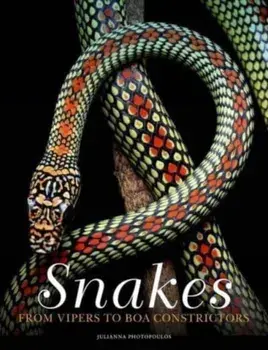 Snakes. From Vipers to Boa Constrictors, Hardback/***