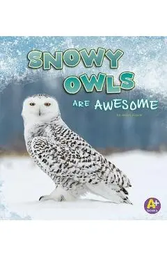 Snowy Owls Are Awesome - Jaclyn Jaycox