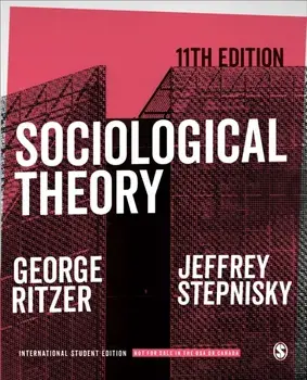 Sociological Theory - International Student Edition, Paperback/Jeffrey N. Stepnisky