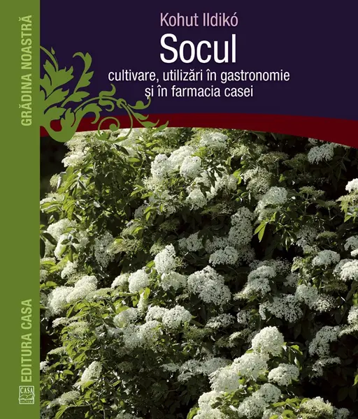 Socul: cultivare, utilizari in gastronomie si in farmacia casei